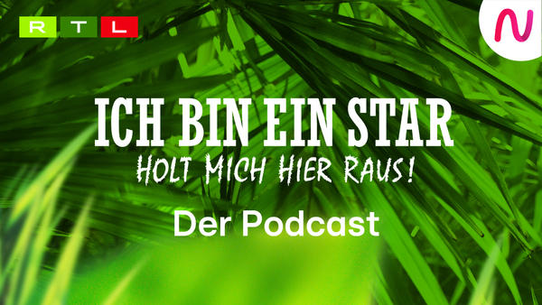 dschungelcamp-live-rtl-plus-angebot-2