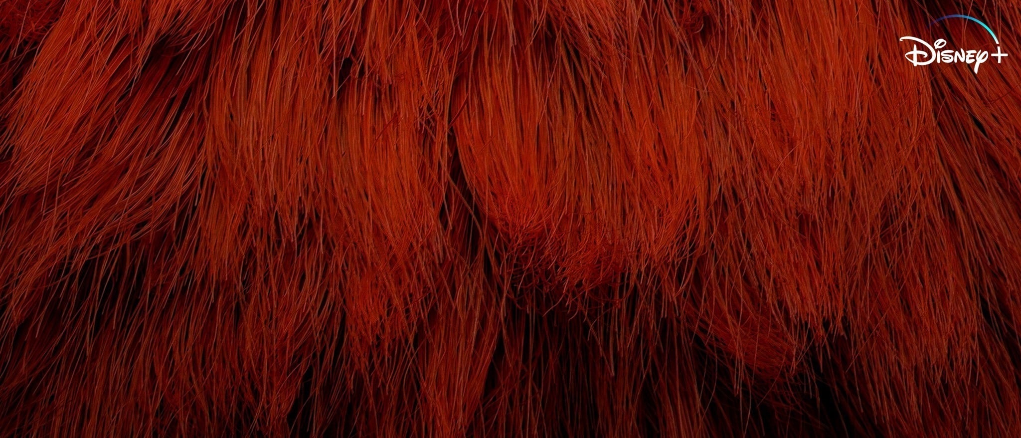 rot