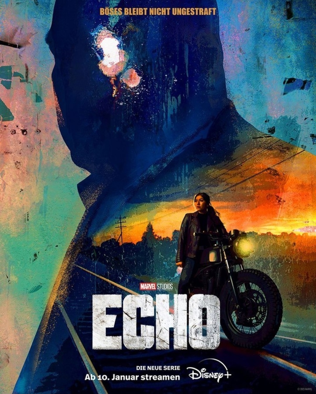 echo-disney-plus